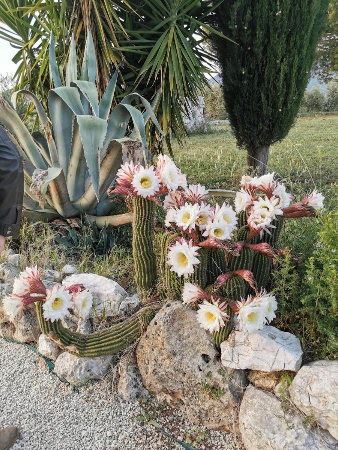 Villa Dei Romani - Country House Guidonia 外观 照片
