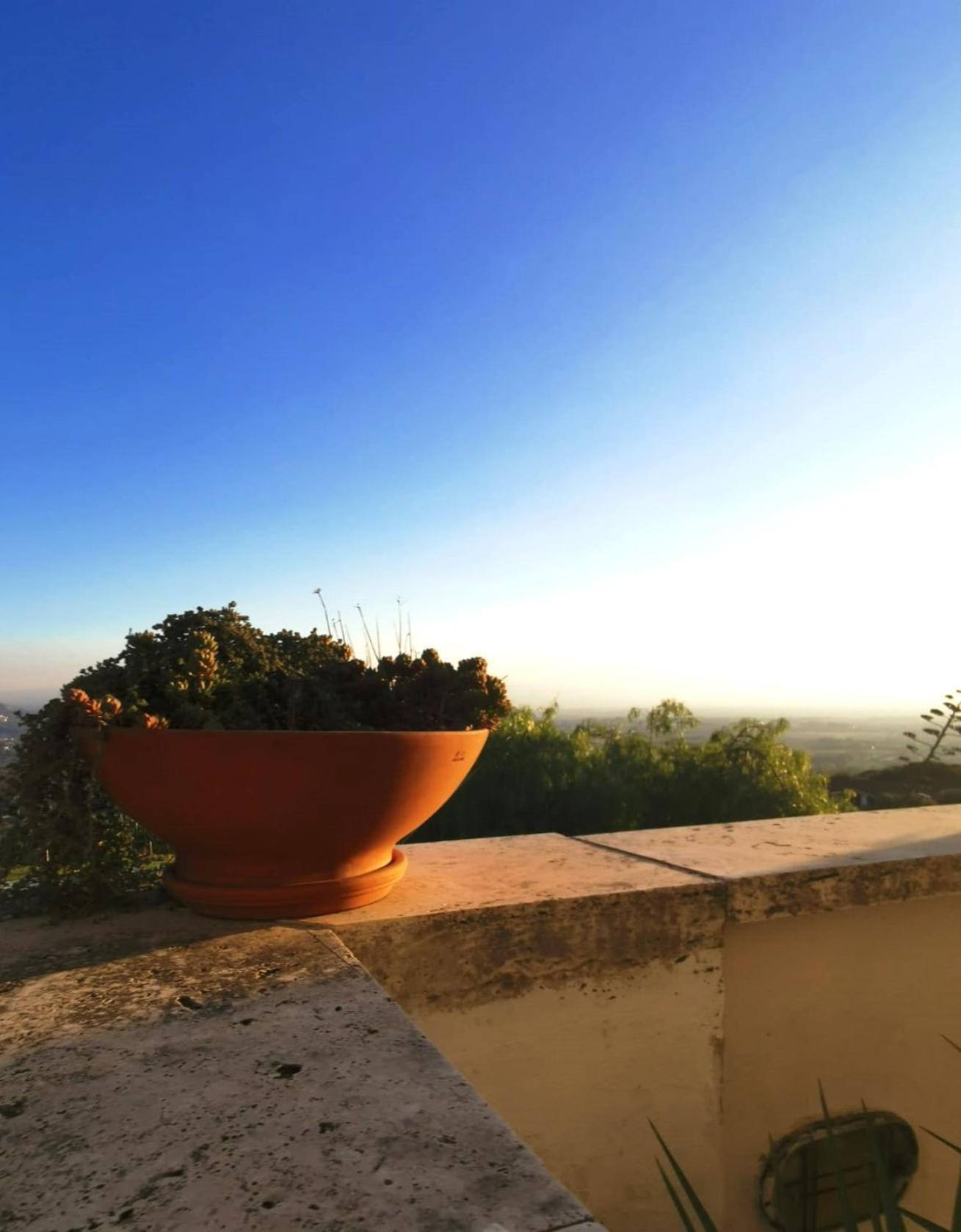 Villa Dei Romani - Country House Guidonia 外观 照片