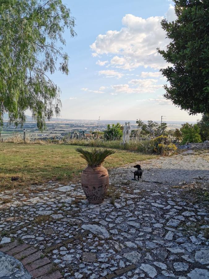 Villa Dei Romani - Country House Guidonia 外观 照片
